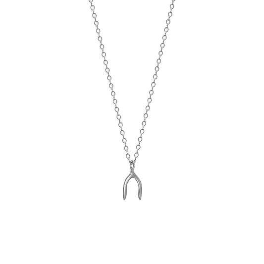 Silver Wishbone Necklace