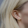 Close-up of an ear wearing a gold and silver hoop earring with blonde hair.